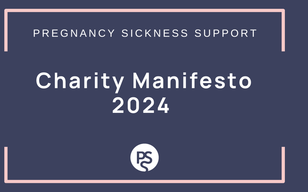 Charity Manifesto 2024
